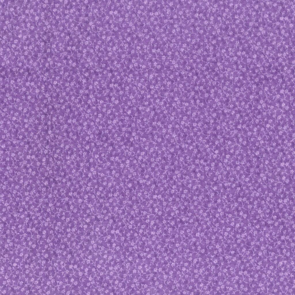 28923_10026362.jpg img